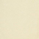 PlushTop Logo Carpet Ivory Color Swatch