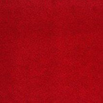 PlushTop Logo Carpet Lipstick Color Swatch