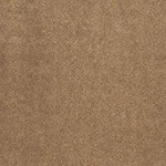 PlushTop Logo Carpet Suede Color Swatch