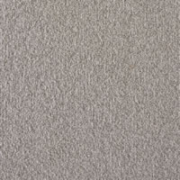 Neighborhood Designer Carpet Tile Swatch