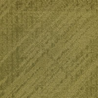 Collective Designer Carpet Tile Swatch