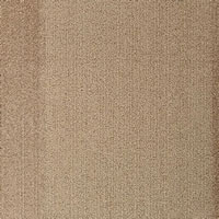 Barrier Designer Carpet Tile Swatch