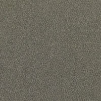 Chinchilla Designer Carpet Tile Swatch