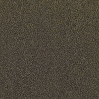 Copper Luster Designer Carpet Tile Swatch