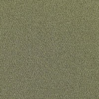 Kashmire Designer Carpet Tile Swatch