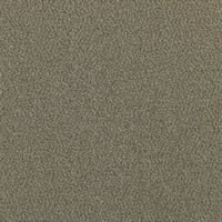 Pumice Designer Carpet Tile Swatch