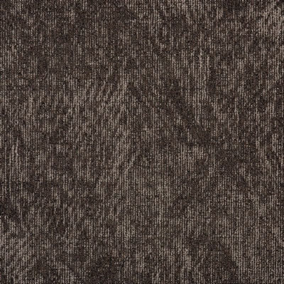 Bear Designer Carpet Tile Swatch