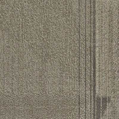 Griffins Cat Designer Carpet Tile Swatch