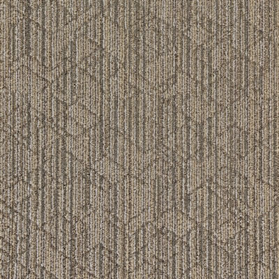 Griffins Cat Designer Carpet Tile Swatch