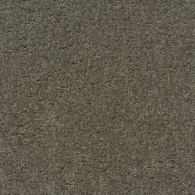 Saguaro Designer Carpet Tile Swatch