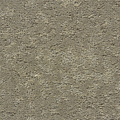 Canyon Designer Carpet Tile Swatch