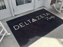 Custom Made Spectrum Logo Rug Delta Zeta Soroity_Univerity of South Carolina of Columbia South Carolina 02