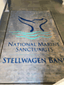 Custom Made Spectrum Logo Rug National Oceanic Atmospheric Administration Stellwagen Sanctuary of Massachusetts 01