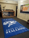 Custom Made Spectrum Logo Rug Queens Grant High School of Matthews North Carolina