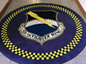 Custom Made Spectrum Logo Rug US Air Force 325th Fighter Wing of Tyndall Air Force Base Florida 03
