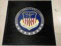 Custom Made Super Vinyl Logo Mat US Air Force 1st Special Operations Group of Hurlburt Air Field Florida